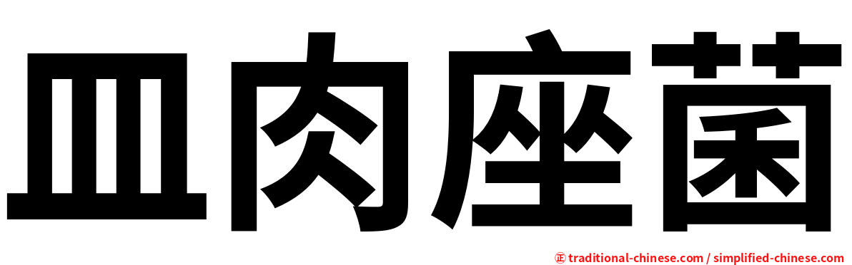 皿肉座菌