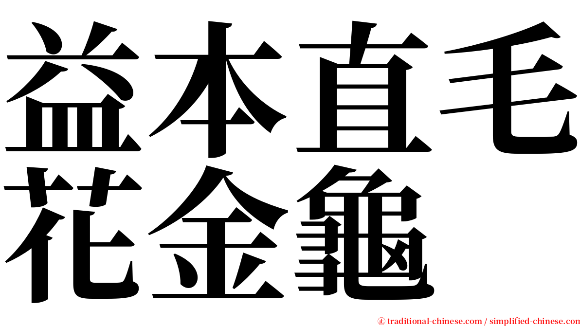 益本直毛花金龜 serif font