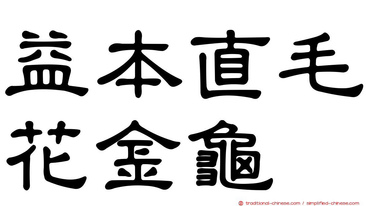 益本直毛花金龜