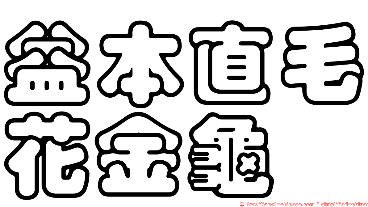 益本直毛花金龜