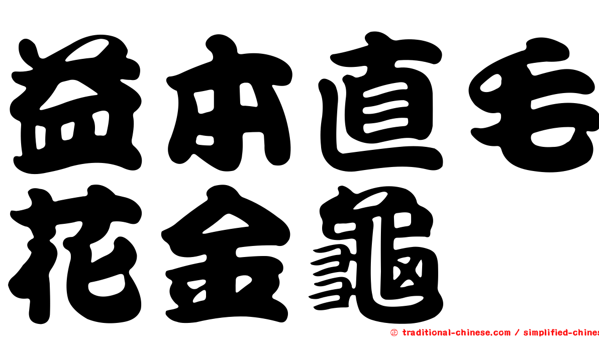 益本直毛花金龜