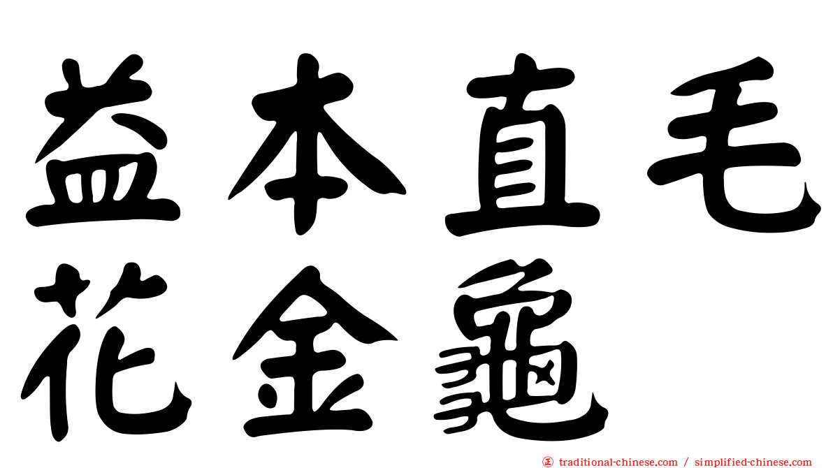 益本直毛花金龜