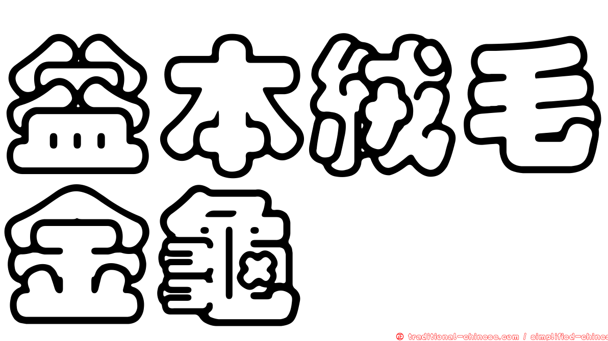 益本絨毛金龜