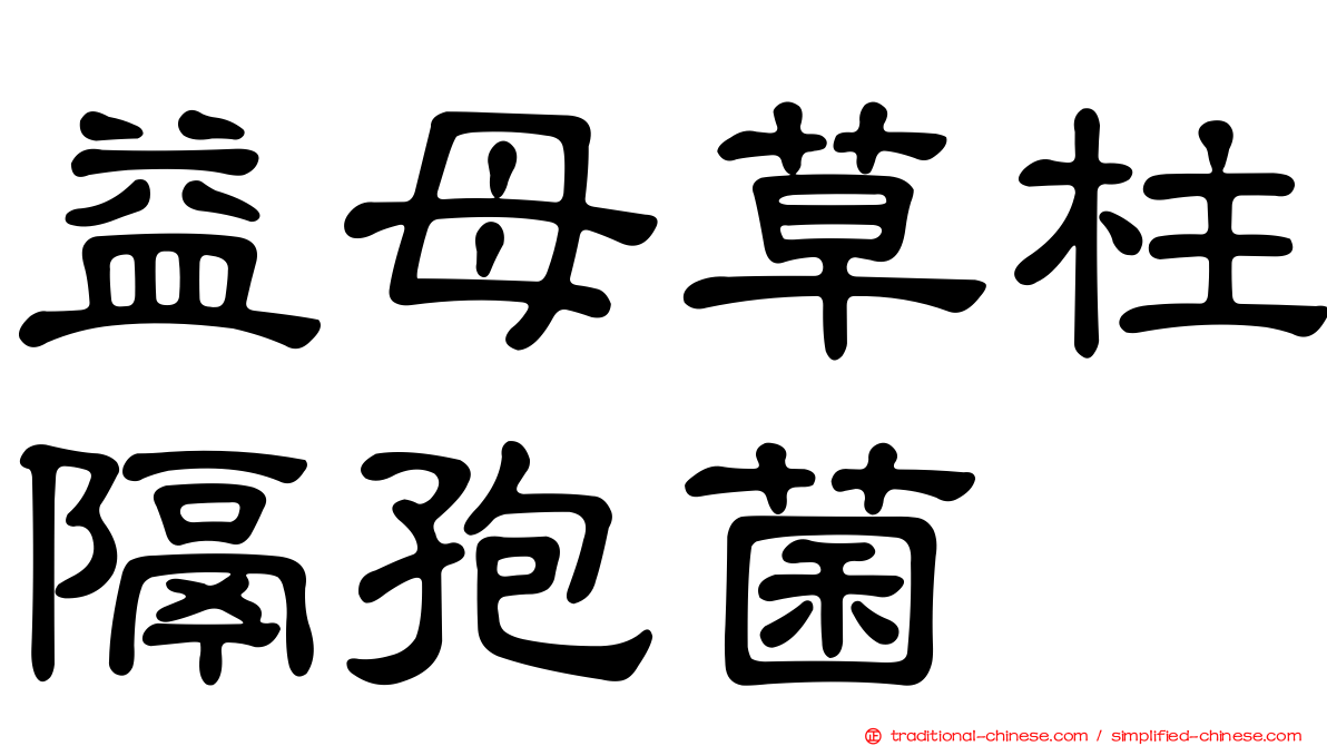 益母草柱隔孢菌