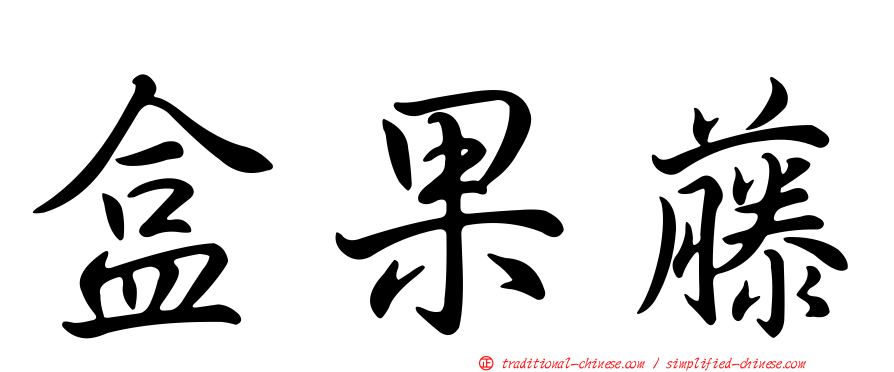 盒果藤