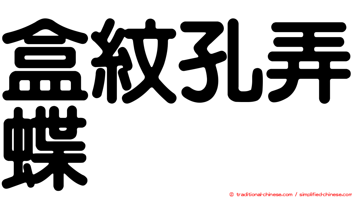 盒紋孔弄蝶
