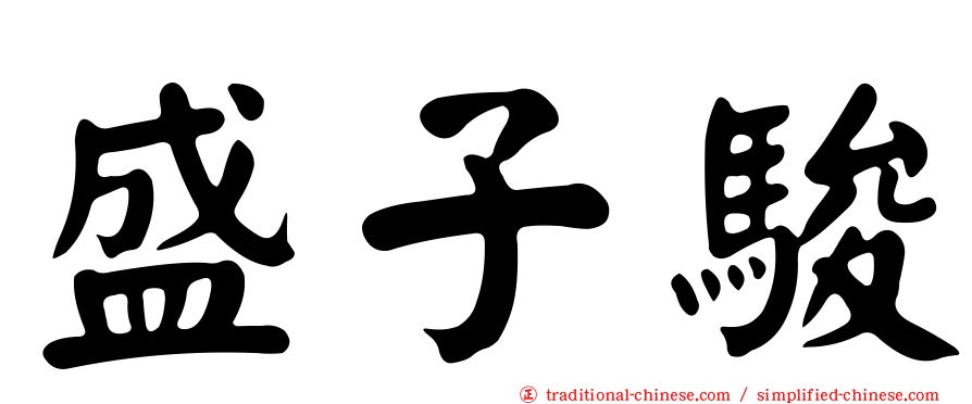 盛子駿