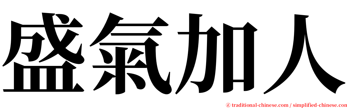 盛氣加人 serif font
