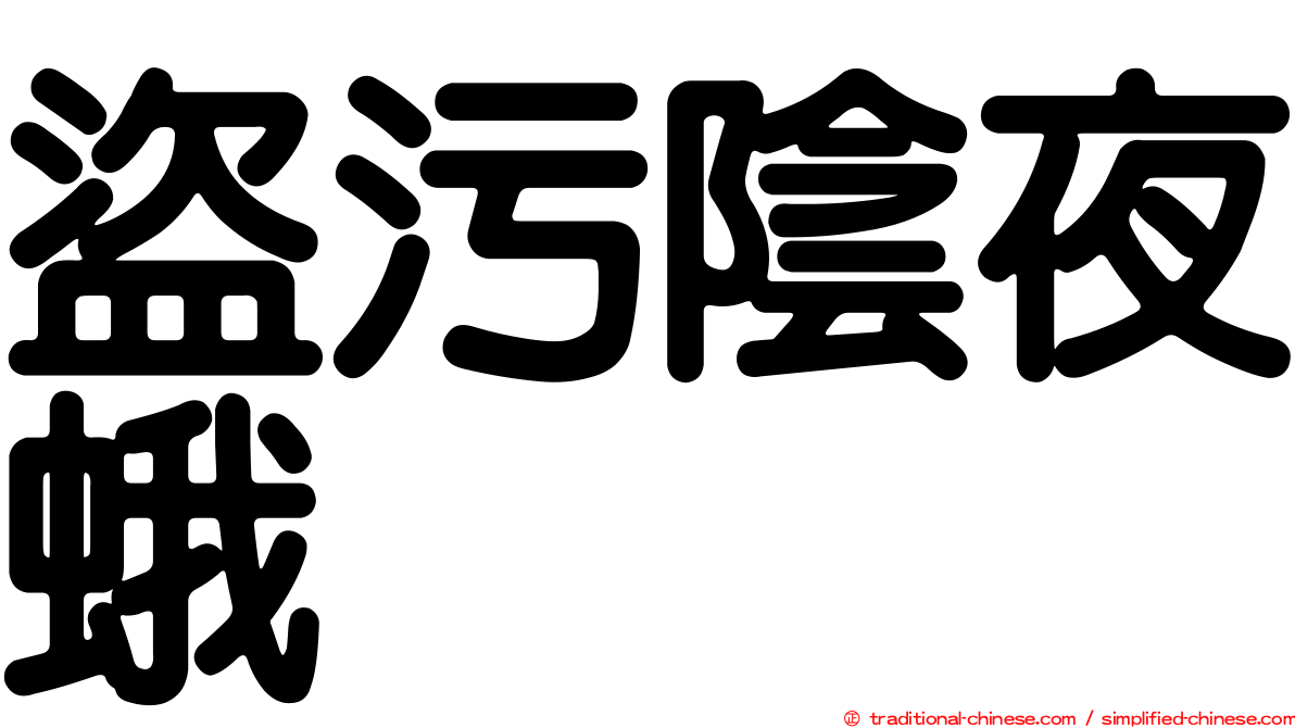 盜污陰夜蛾
