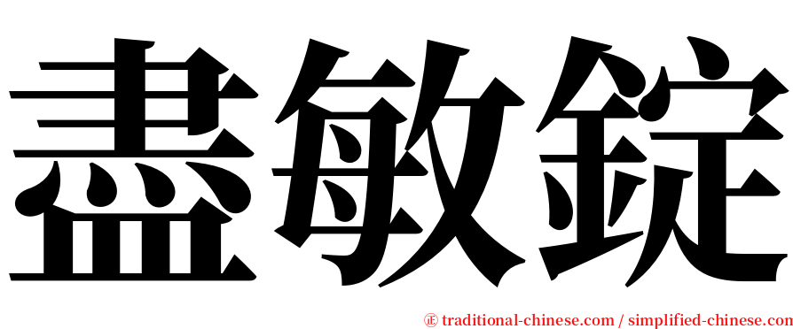 盡敏錠 serif font