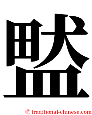 盢 serif font