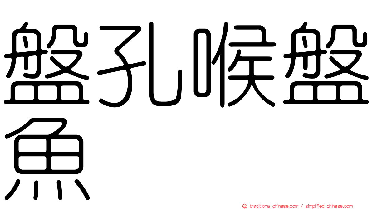 盤孔喉盤魚
