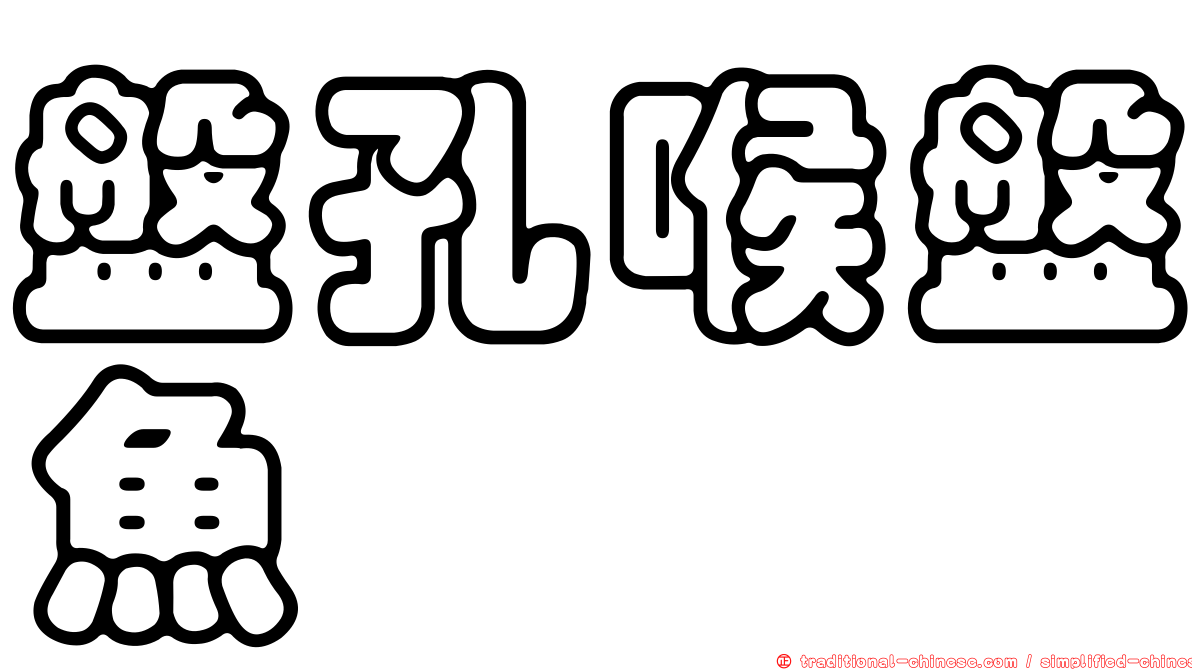 盤孔喉盤魚