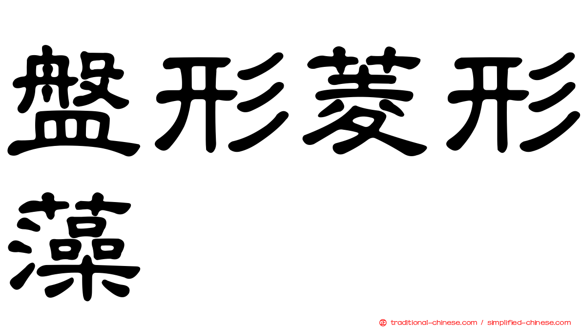 盤形菱形藻