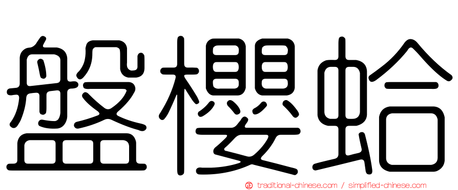 盤櫻蛤