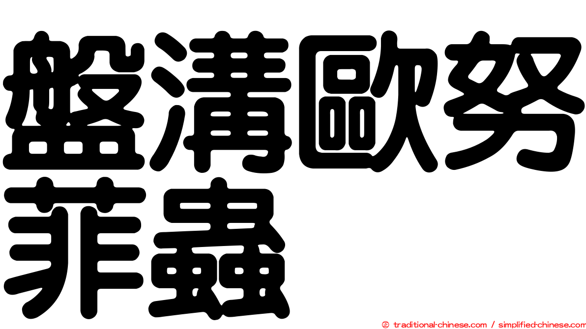 盤溝歐努菲蟲