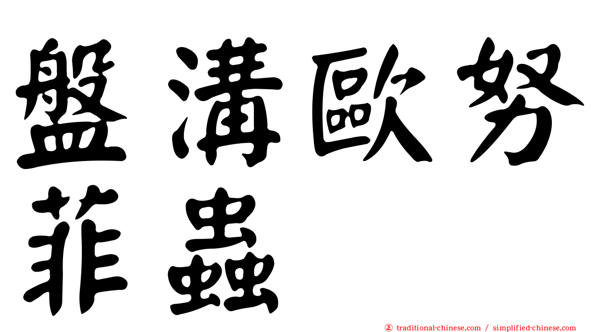 盤溝歐努菲蟲