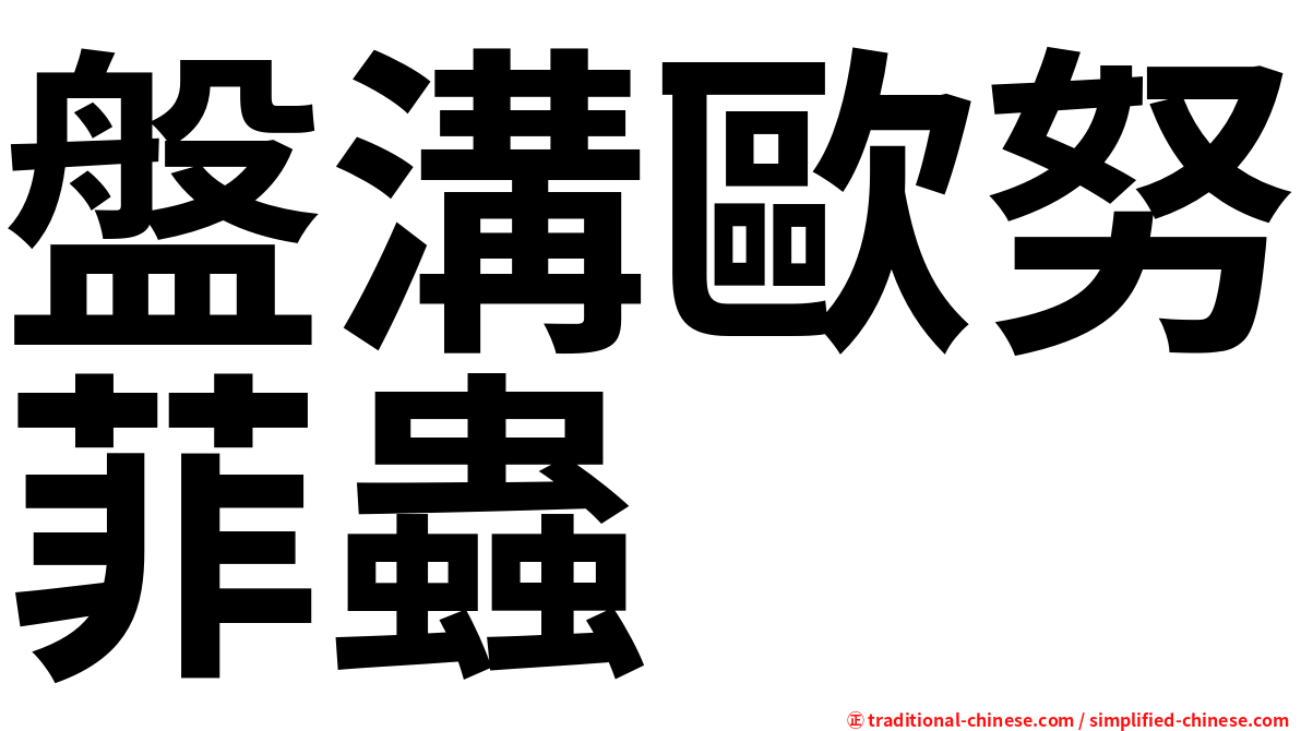 盤溝歐努菲蟲