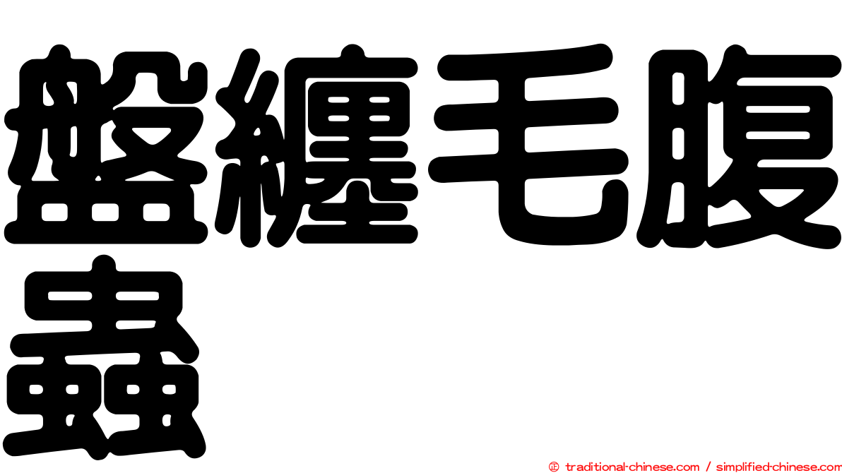 盤纏毛腹蟲