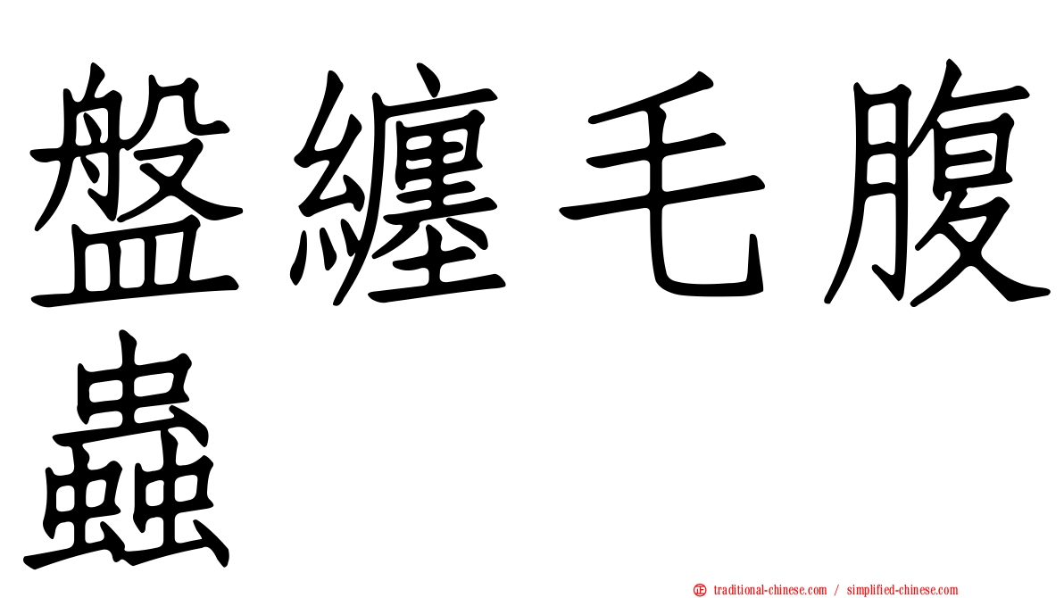 盤纏毛腹蟲