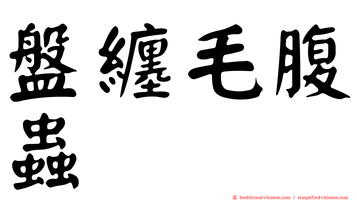 盤纏毛腹蟲