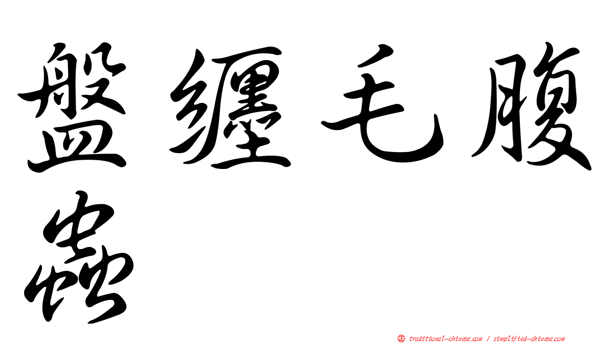 盤纏毛腹蟲