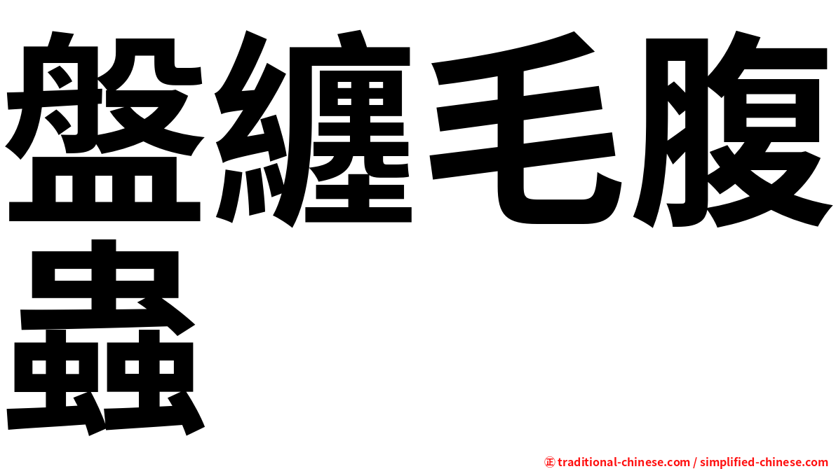盤纏毛腹蟲