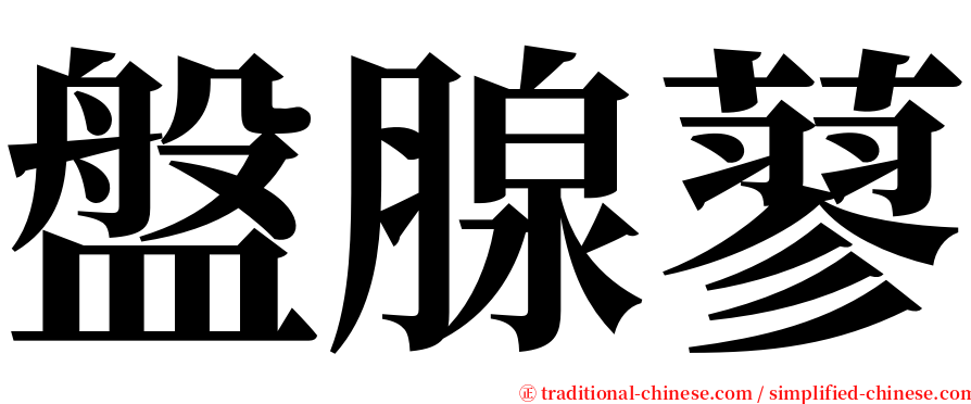 盤腺蓼 serif font