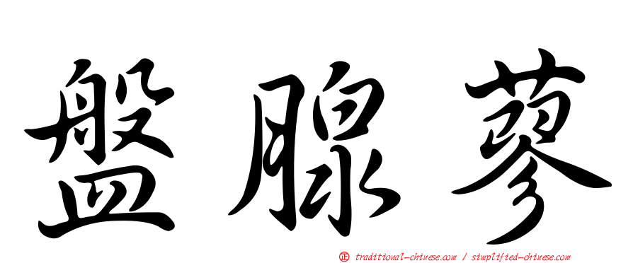 盤腺蓼