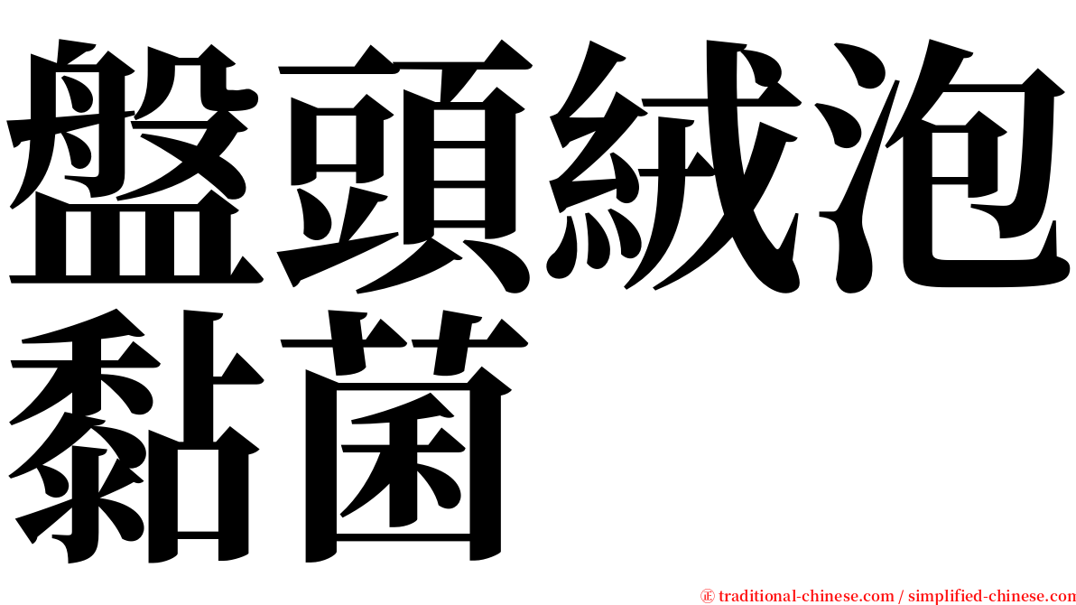 盤頭絨泡黏菌 serif font