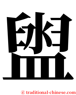盥 serif font