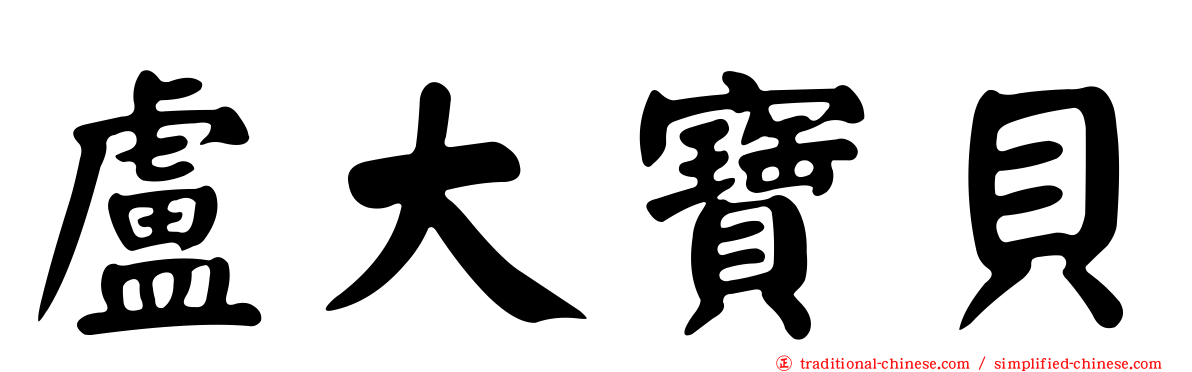 盧大寶貝