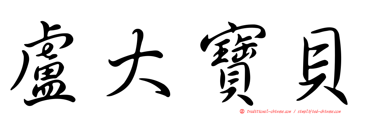 盧大寶貝