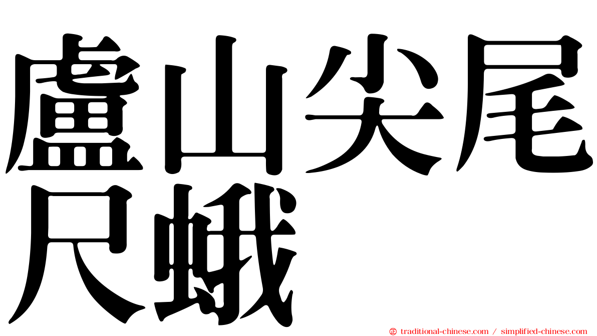 盧山尖尾尺蛾