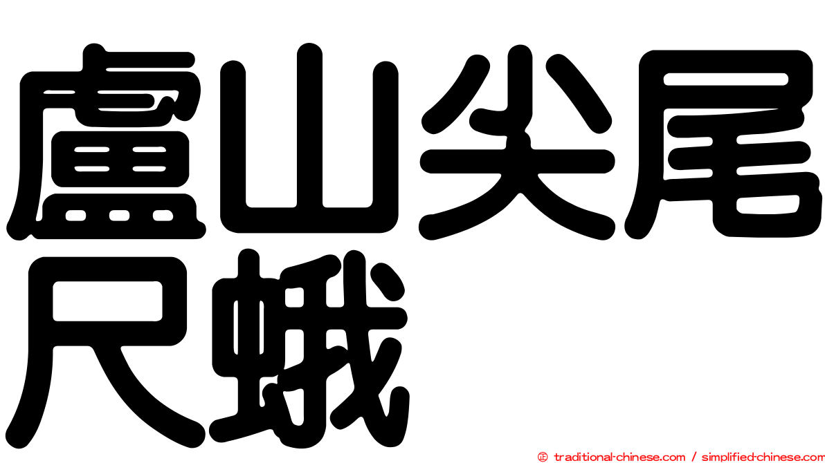 盧山尖尾尺蛾