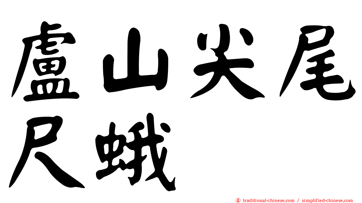 盧山尖尾尺蛾