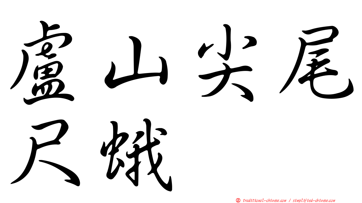 盧山尖尾尺蛾