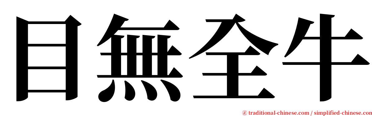 目無全牛 serif font