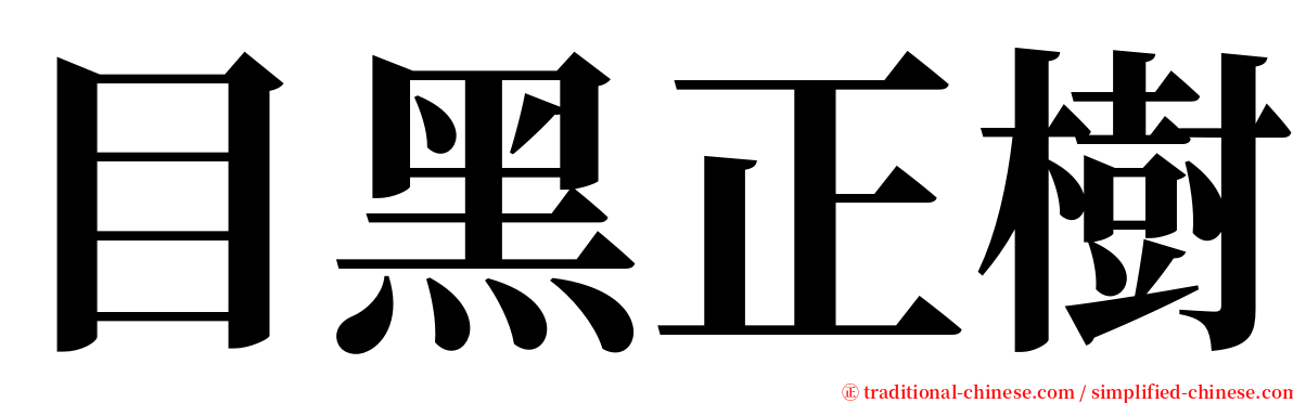 目黑正樹 serif font