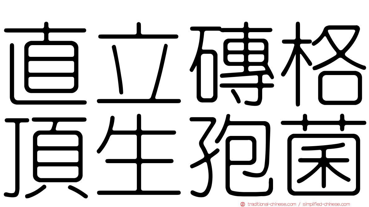 直立磚格頂生孢菌