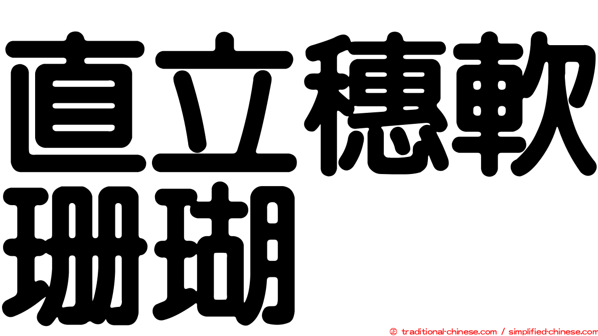 直立穗軟珊瑚