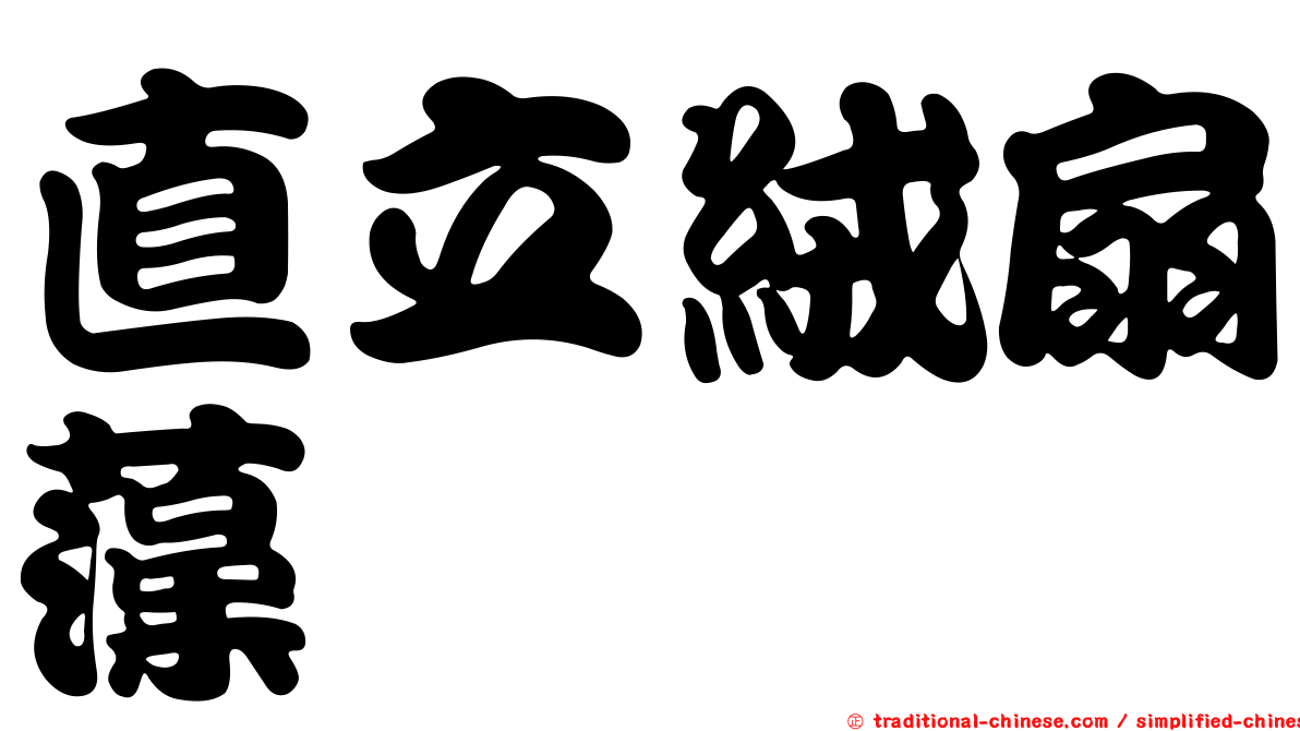 直立絨扇藻