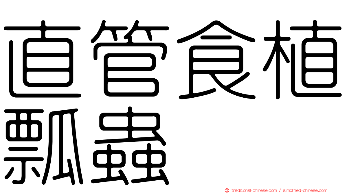 直管食植瓢蟲