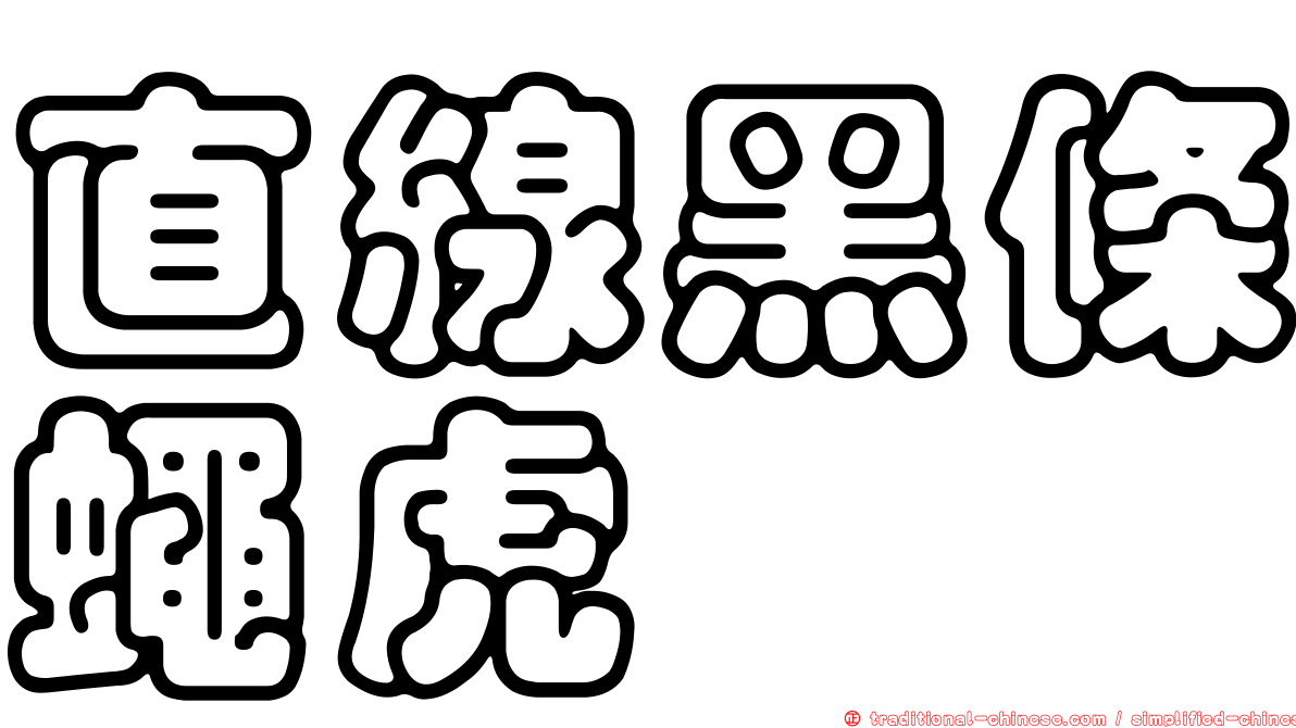 直線黑條蠅虎