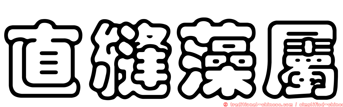 直縫藻屬
