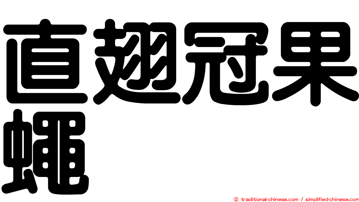 直翅冠果蠅