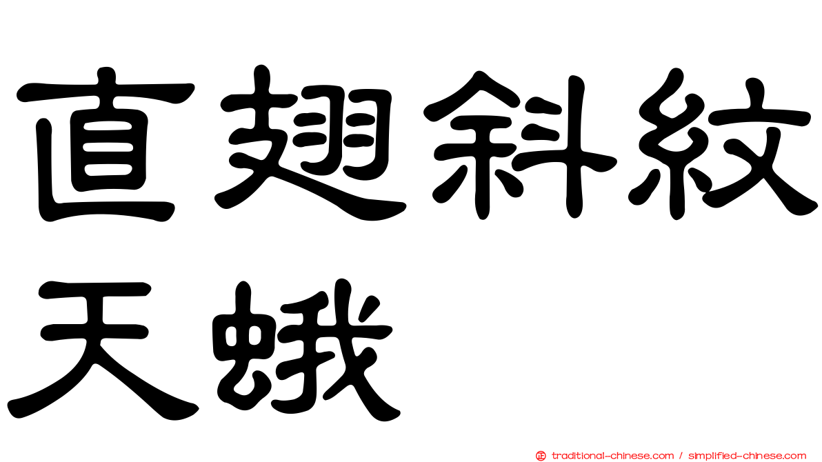 直翅斜紋天蛾