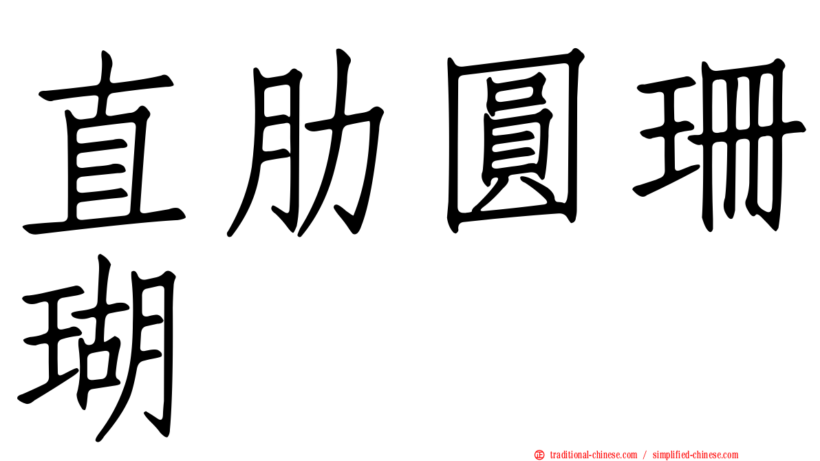 直肋圓珊瑚