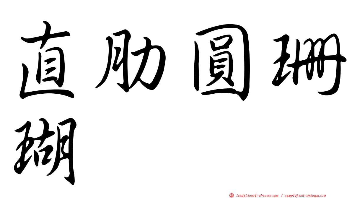 直肋圓珊瑚
