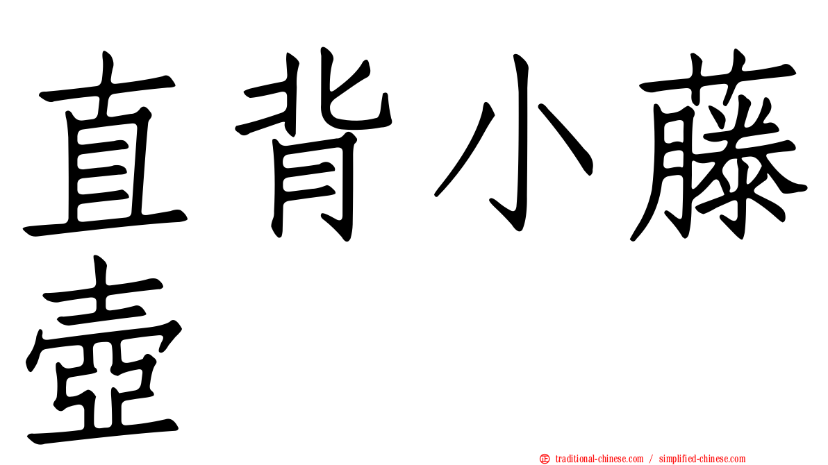 直背小藤壺